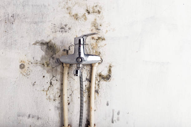 Best Residential Mold Removal  in Redway, CA