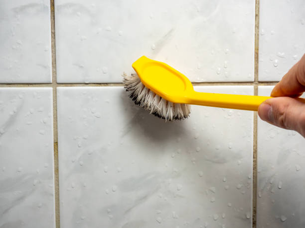 Attic Mold Removal in Redway, CA