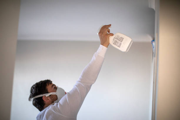 Best Mold Testing  in Redway, CA