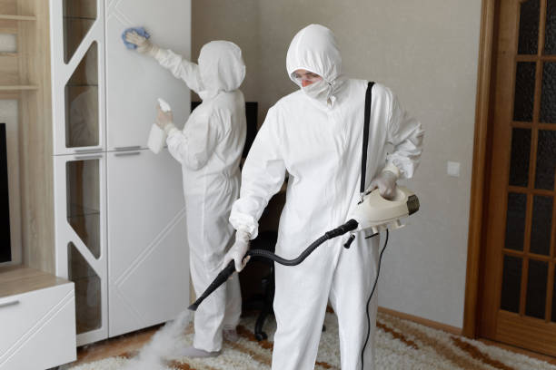 Best Mold Removal Process  in Redway, CA