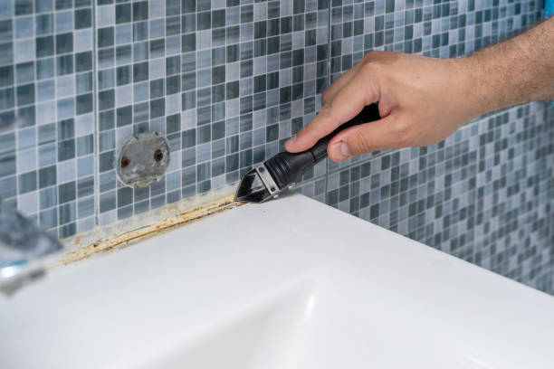 Best Commercial Mold Removal  in Redway, CA
