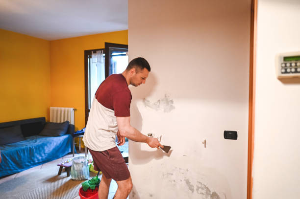 Best Mold Remediation  in Redway, CA