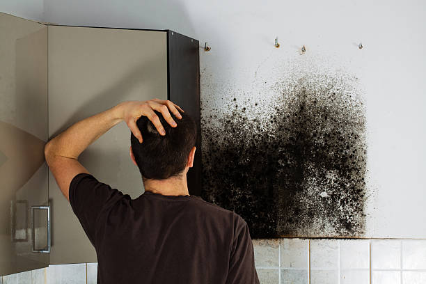 Best Office Mold Removal Services  in Redway, CA
